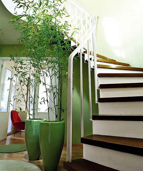 Shades of green and where to use them - hallway