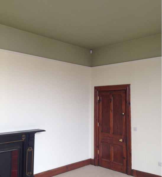 walls & celing - different house paints and where to use them.